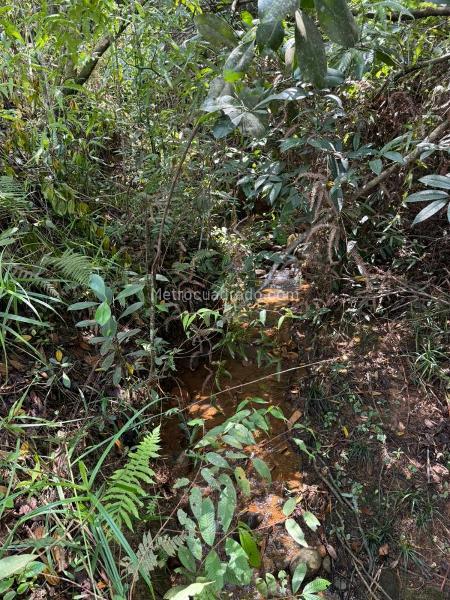 Lote en Venta, RIO CLARO, Jamundi - Vista 4