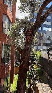 Apartamento de 3 alcobas en venta en Ginebra Iraka, Bogotá, 129 m² · foto 2 de 20