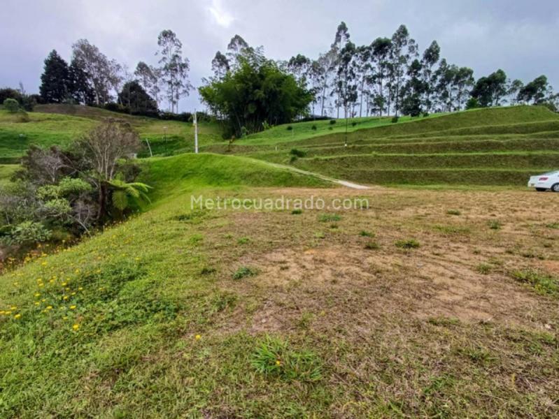 Lote en Venta, Rionegro, Rionegro - Vista 3