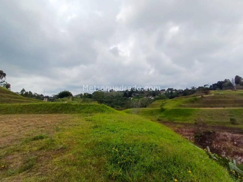 Lote en Venta, Rionegro, Rionegro - Vista 4