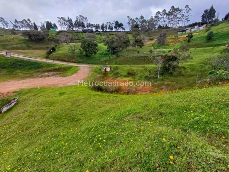 Lote en Venta, Rionegro, Rionegro - Vista 5