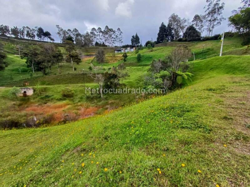 Lote en Venta, Rionegro, Rionegro - Más