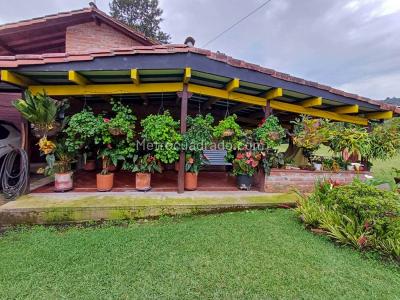 Casa en Arriendo, Sajonia, Rionegro