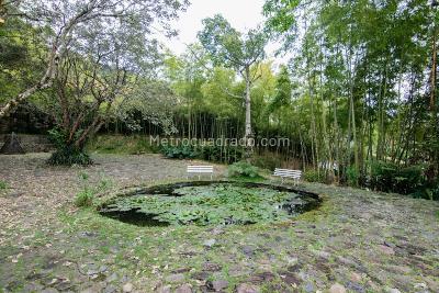 Casa de 5 alcobas en venta en El Poblado, Medellín, 600 m² · foto 2 de 20