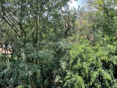 Apartamento en venta en Provenza, Medellín · foto 12 de 14