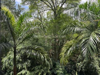 Apartamento en venta en Provenza, Medellín · foto 14 de 14