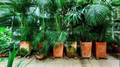 Apartamento en venta en Santa Maria De Los Angeles, Medellín · foto 4 de 19
