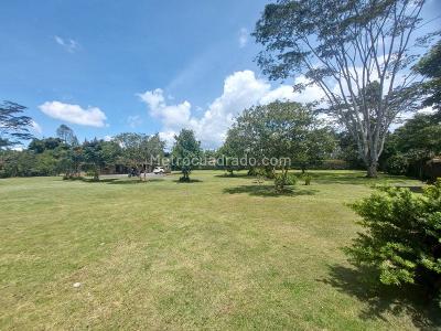 House for rent in Llano Grande, Rionegro
