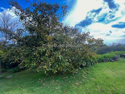 Casa de 5 alcobas en venta en Alto De Palmas, Envigado, 366 m² · foto 16 de 20