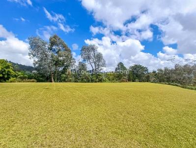 Country house for rent in Sajonia, Rionegro
