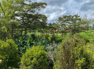Finca en Arriendo, San Antonio, Rionegro