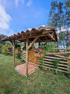 Casa en arriendo en Alto De Palmas, Envigado · foto 3 de 20