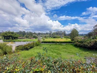 Casa de 5 alcobas en venta en Llano Grande, Rionegro, 350 m² · foto 12 de 20