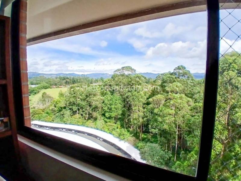 1BR Apartment in Pietra Santa (53 m²) - 5