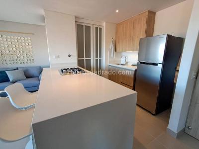 Apartamento de 1 alcoba en arriendo en San Antonio, Rionegro, 55 m² · foto 3 de 10