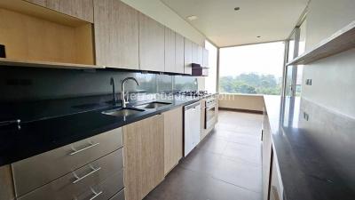 Apartamento de 3 alcobas en venta en El Poblado, Medellín, 270 m² · foto 9 de 18