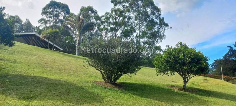 Casa – Llanogrande, Rionegro - Vista 5