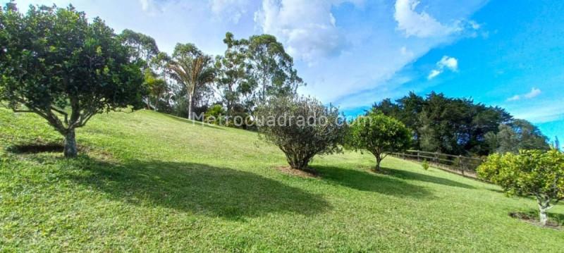 Casa – Llanogrande, Rionegro - Más