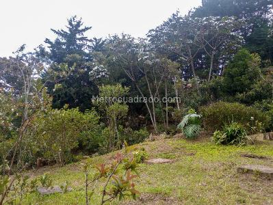 Casa de 3 alcobas en venta en San Antonio, Rionegro · foto 2 de 14