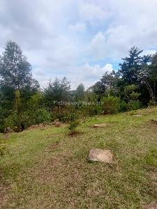 Casa de 3 alcobas en venta en San Antonio, Rionegro · foto 4 de 14