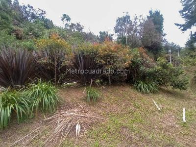 Casa de 3 alcobas en venta en San Antonio, Rionegro · foto 5 de 14