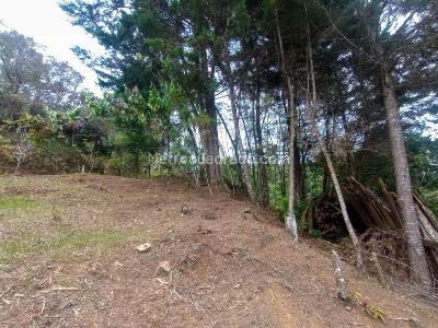 Casa de 3 alcobas en venta en San Antonio, Rionegro · foto 7 de 14