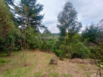 Casa de 3 alcobas en venta en San Antonio, Rionegro · foto 8 de 14