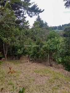 Casa de 3 alcobas en venta en San Antonio, Rionegro · foto 10 de 14