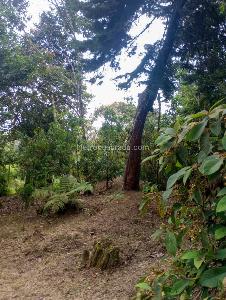 Casa de 3 alcobas en venta en San Antonio, Rionegro · foto 12 de 14