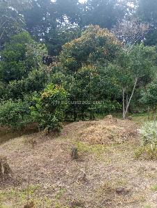 Casa de 3 alcobas en venta en San Antonio, Rionegro · foto 13 de 14