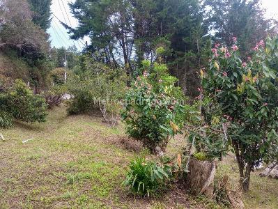 Casa de 3 alcobas en venta en San Antonio, Rionegro · foto 14 de 14