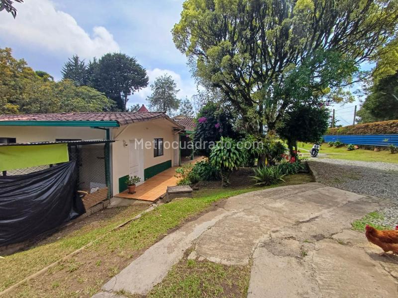 Casa en Arriendo, Centro, Rionegro - 2