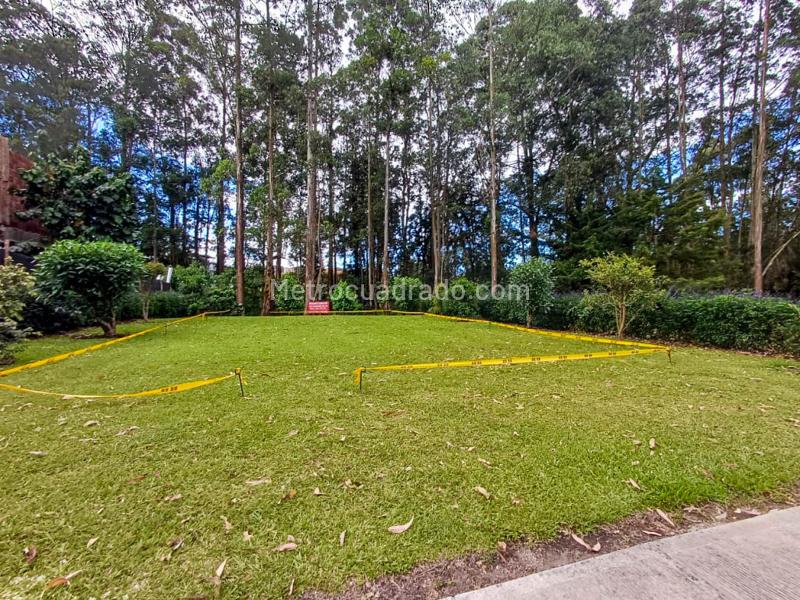 Lote en Venta, Llanogrande, Rionegro - Vista 5