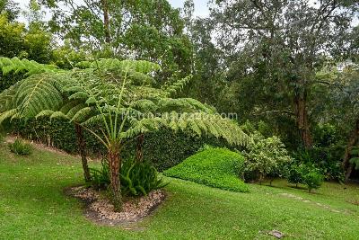 Casa de 3 alcobas en venta en Tablazo, Rionegro · foto 2 de 20