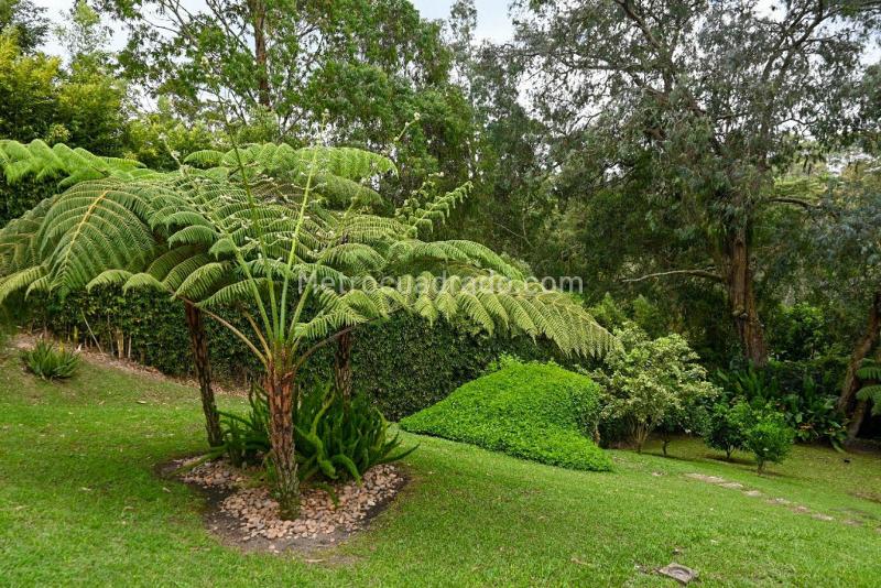 Casa en Venta, Tablazo, Rionegro – pohled 3