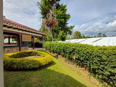 Casa de 3 alcobas en arriendo en Vereda Guayabito, Rionegro, 1800 m² · foto 15 de 20