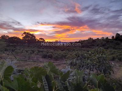 Casa de 3 alcobas en venta en Llanogrande, Rionegro · foto 3 de 16