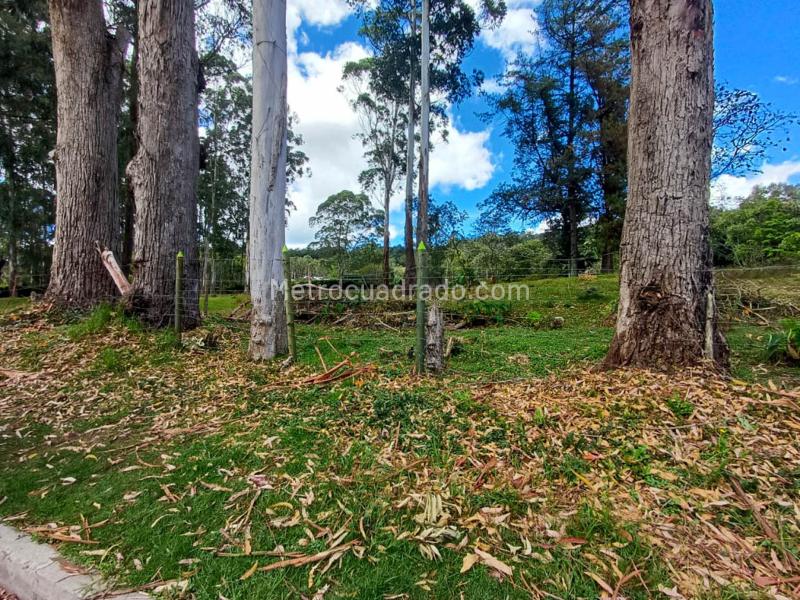 Lote en Venta, Via Llonogrande Don Diego, Rionegro - Vista 3