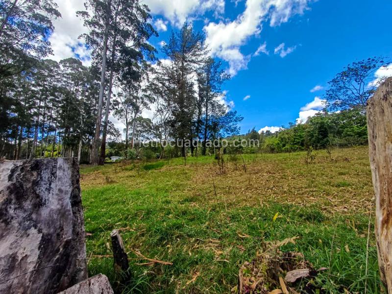 Lote en Venta, Via Llonogrande Don Diego, Rionegro - Vista 5