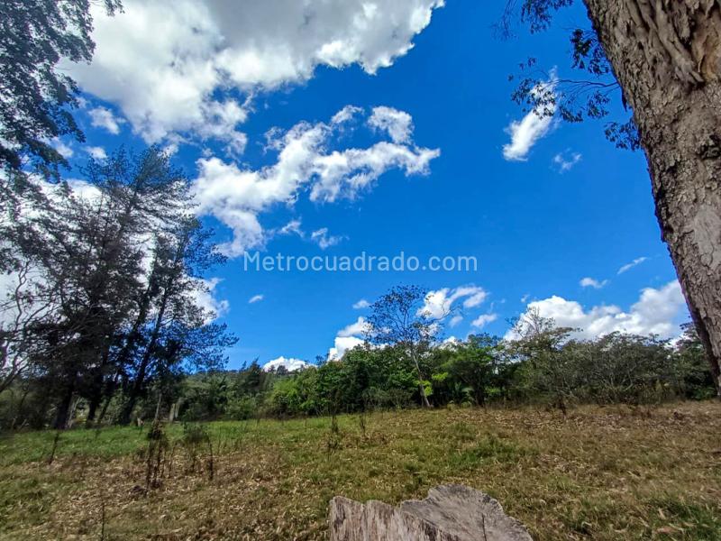 Lote en Venta, Via Llonogrande Don Diego, Rionegro - Más