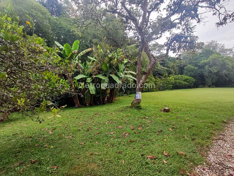 Casa – Rionegro - Más