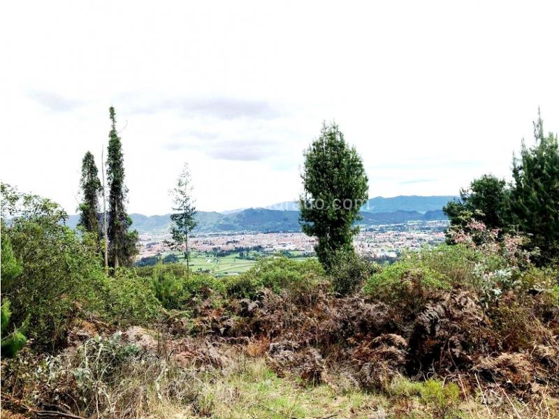 Lote en Venta, Yerbabuena Baja, Chía - Vista 2