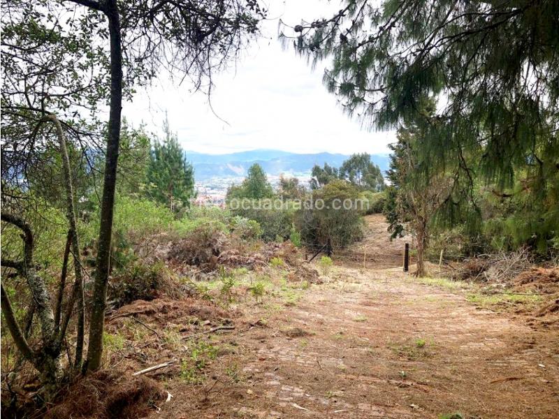 Lote en Venta, Yerbabuena Baja, Chía - Vista 4