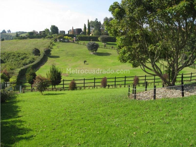 Casa – Yerbabuena Bajo, Yerbabuena, Sabana Centro - Vista 4