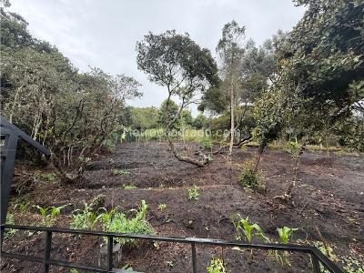 Casa de 3 alcobas en venta en Sindamanoy, Chía, 680 m² · foto 16 de 20