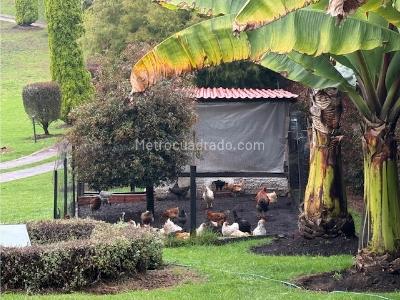 Casa de 3 alcobas en venta en Sindamanoy, Chía, 680 m² · foto 20 de 20