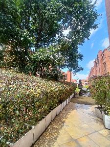 Casa en arriendo en Los Lagartos, Bogotá · foto 3 de 20