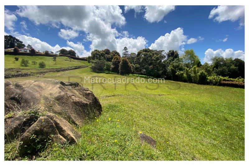 Lote en Venta, Alto De Palmas, Envigado - Vista 4