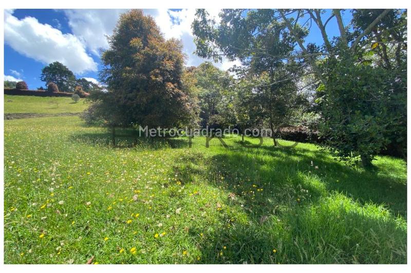 Lote en Venta, Alto De Palmas, Envigado - Vista 5