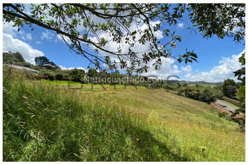 Lote en Venta, Alto De Palmas, Envigado - Vista 3